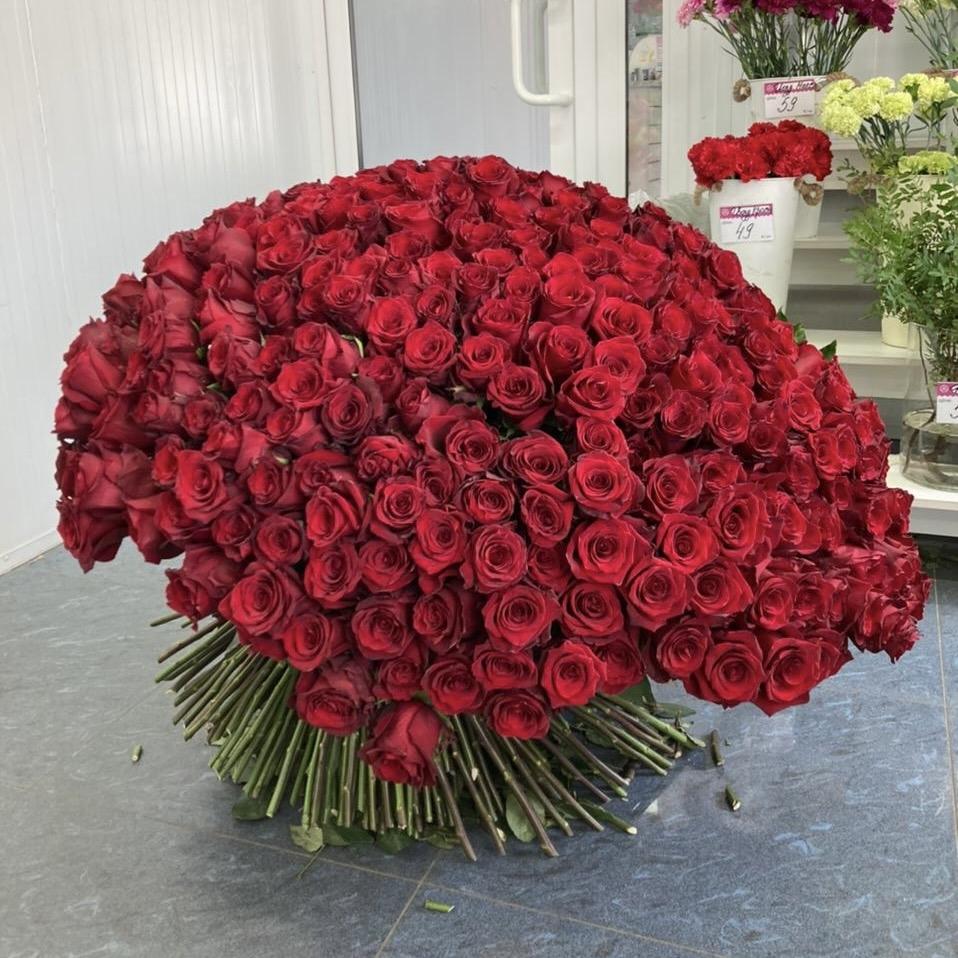 Букеты из красных роз 80 см (Эквадор) [артикул   203616]