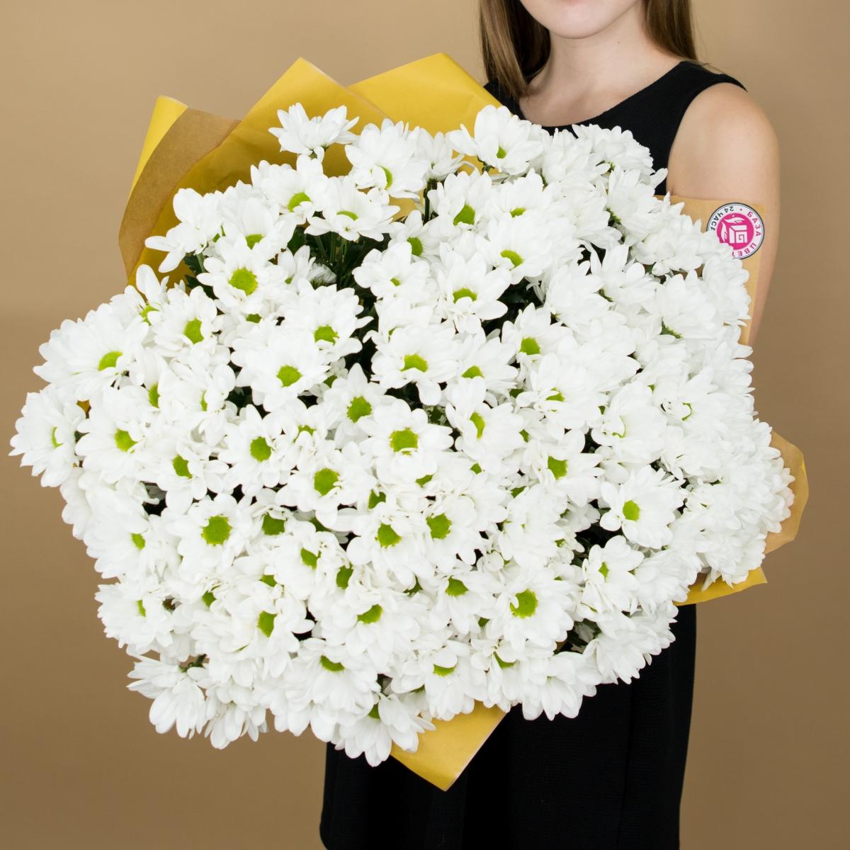 Хризантема белая (ромашка) (articul: 3024)