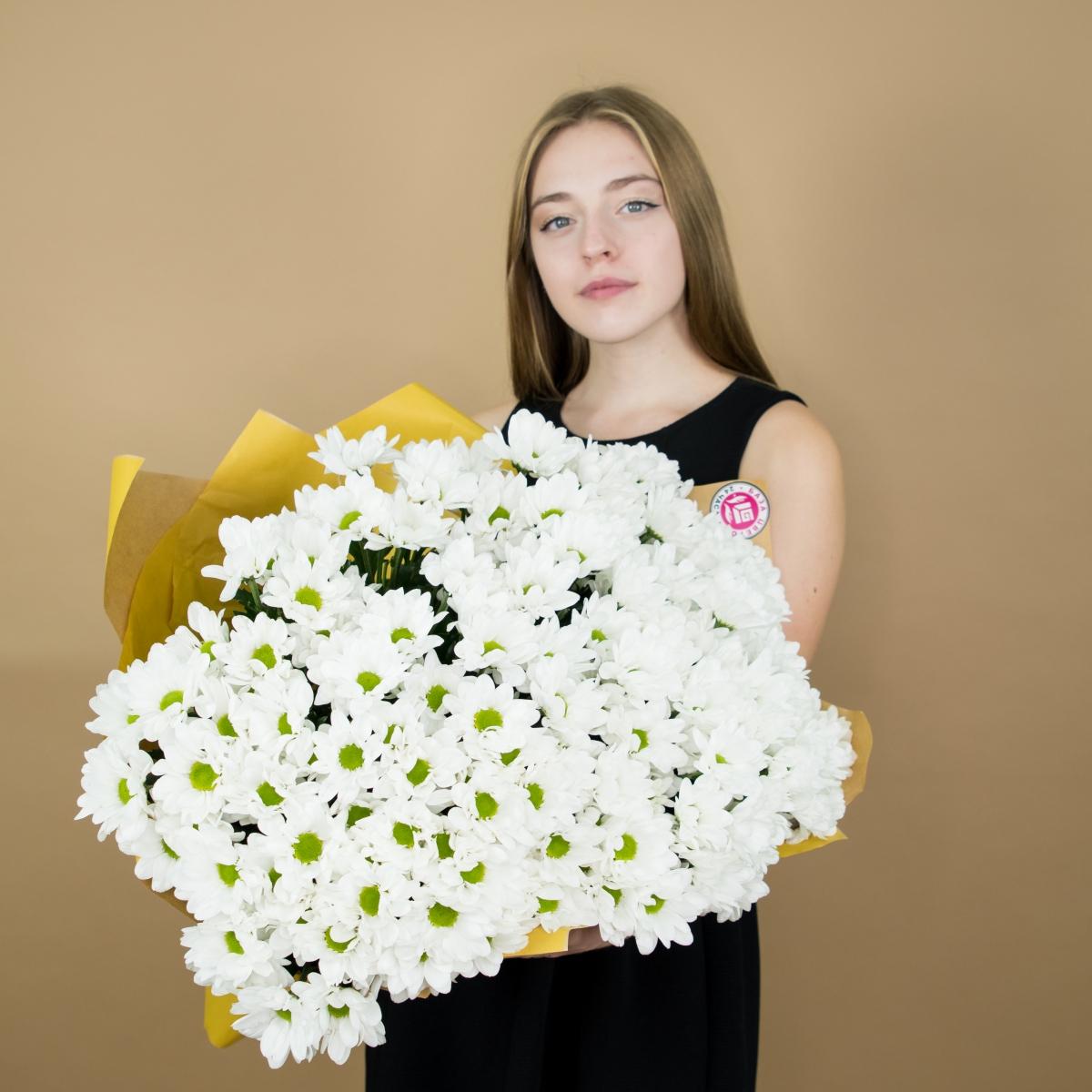 Хризантема белая (ромашка) (articul: 3024)