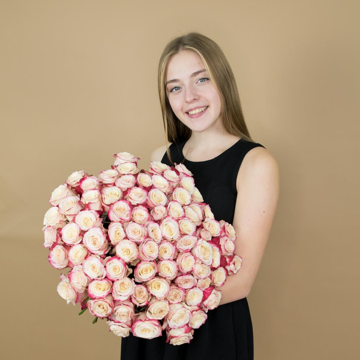 Розы красно-белые (40 см) Эквадор (№  504)
