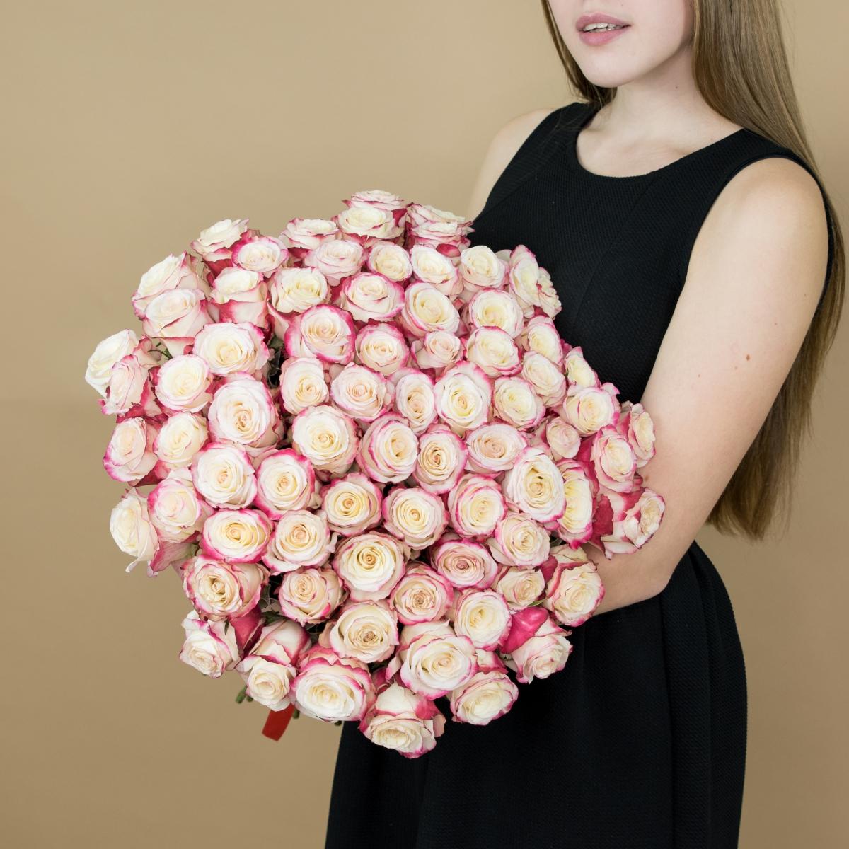 Розы красно-белые 101 шт. (40 см) артикул букета  89712