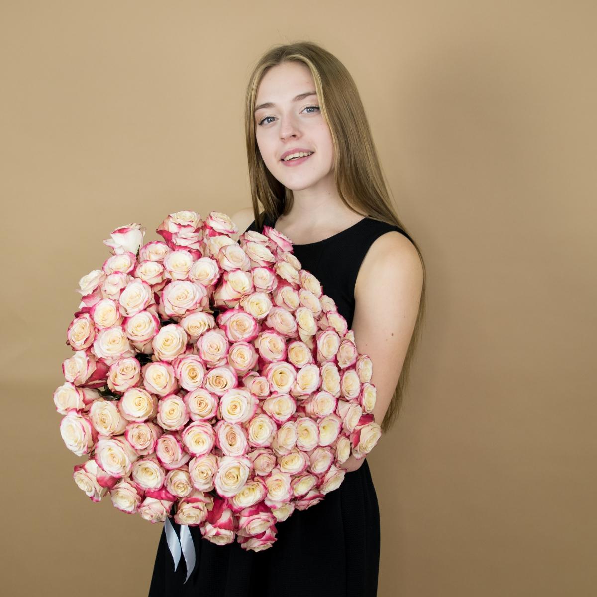 Розы красно-белые 101 шт. (40 см) артикул букета  89712
