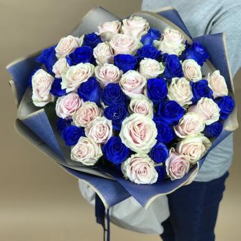 Белая и Синяя Роза 51шт 70см (Эквадор) (артикул - 115248)